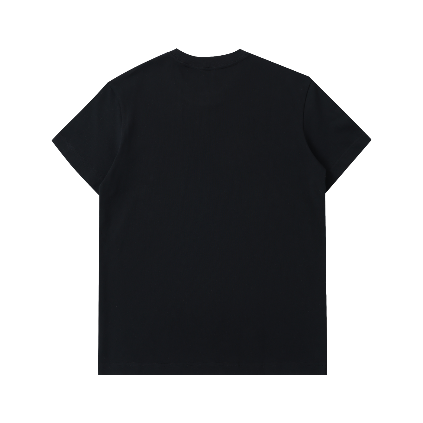 Blue Lagoon Organics Classic Logo Heavyweight Cotton T-Shirt(Men)