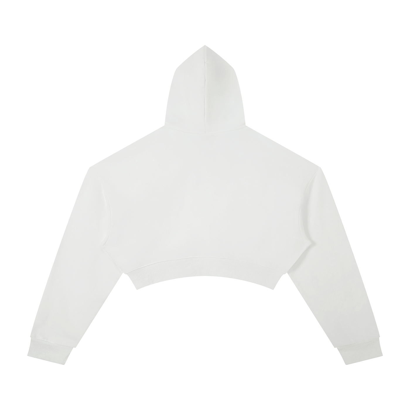 Blue Lagoon Organics Classic Logo Cropped Hoodie(Women)